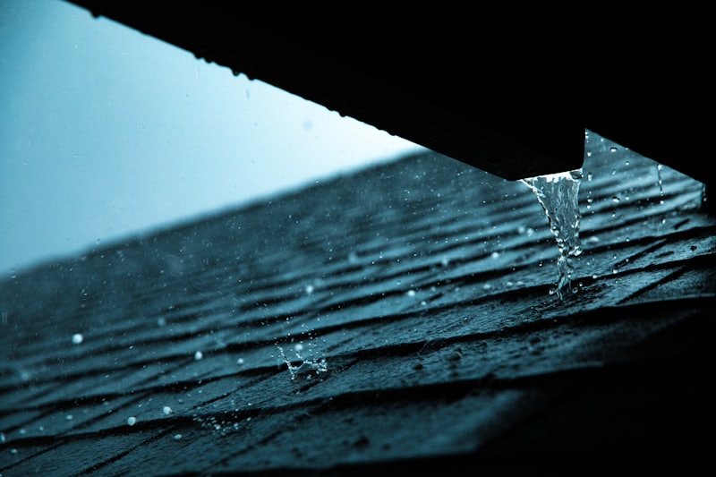 Close view of a roof edge and gutter during routine roof maintenance.